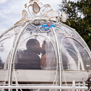 Carrozza reale cavallo elettrico Wedding car carrozza cenerentola zucca carrozza Tour visite Caleches - Product Image 2