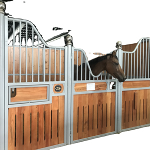 プレハブ馬用安定パネルプロの馬術センターとトレーニング用可動式安定 - Product Image 1