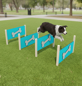Équipement de terrain de jeu professionnel de qualité commerciale pour l'entraînement des chiots, saut d'obstacles, pour <span class=keywords><strong>parc</strong></span> de sport d'agilité en extérieur - Product Image 2
