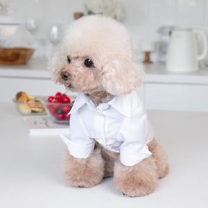 เสื้อเชิ้ตแขนยาวสำหรับสุนัขแมวสีขาวเสื้อผ้าสำหรับสัตว์เลี้ยงสุภาพบุรุษเสื้อสำหรับสุนัขฤดูใบไม้ร่วงฤดูใบไม้ผลิดีไซน์เรียบง่ายออกแบบได้ตามต้องการ - Product Image 3