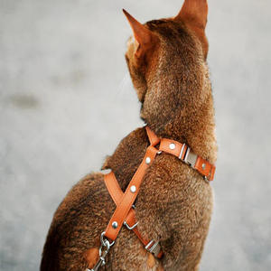 ポジショナーエアタグケースに適したカスタムブラウンレザー調節可能なメタルバックルスモールペットキャットドッグチェストストラップハーネス - Product Image 5