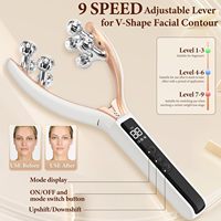 Appareil de massage pour le contour du visage Eveekon pour femmes, masseur facial rechargeable, rouleau facial pour la maison et les voyages