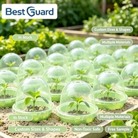 Empaque Personalizado para Viveros de Plantas, Bandeja de Plástico PET Reciclable Transparente de 1 mm de Grosor para Protección y Exhibición de Plántulas, Venta al por Mayor