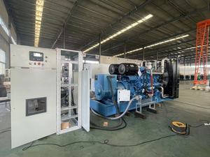Grupo electrógeno de gas de 1MW, 2MW, 3MW, 4MW con motor Baudouin PLG-XGF para fabricación industrial PL - Product Image 5