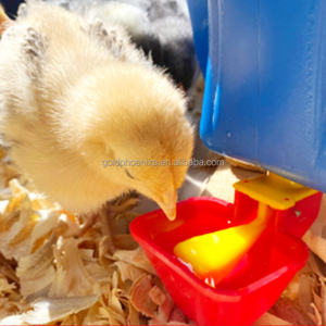 Valvola Galleggiante Automatica YCZ in STOCK <span class=keywords><strong>per</strong></span> Abbeveratoio Quadrato Rosso Giallo <span class=keywords><strong>per</strong></span> Polli, <span class=keywords><strong>Tacchini</strong></span>, Broiler, Galline Ovaiole, Quaglie - Product Image 6