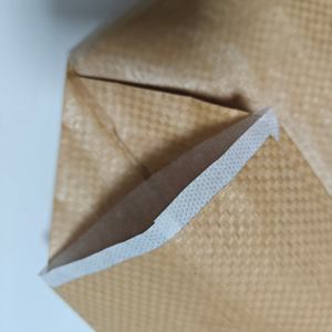 25kg 50kg Bolsa de válvula vacía Bolsa de <span class=keywords><strong>cemento</strong></span> Pp - Product Image 4