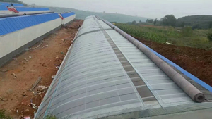 El túnel solar más barato Invernadero agrícola Fábrica de proveedores de China - Product Image 2