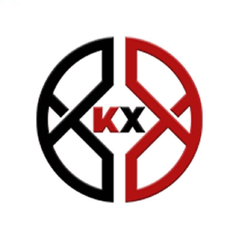 Shanghai Kexing Instruments Co., Ltd. logo
