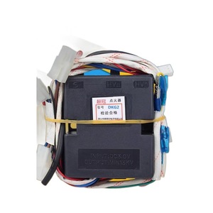 Controlador DKG2 para calentador de agua a gas instantáneo con encendido por impulsos, escape forzado, carcasa de plástico y pantalla LED - Product Image 4