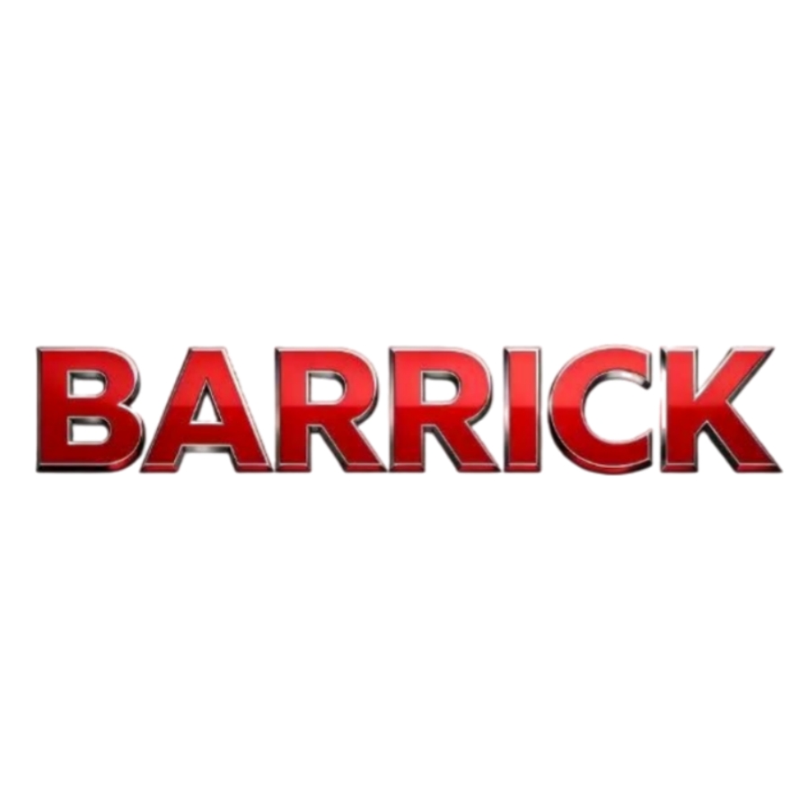Liaoning Barrick Technology Co., Ltd. logo