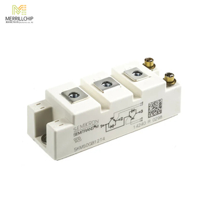 Módulos IGBT Dual Half Bridge IGBT Module Power IGBT Transistor SKM100GB12T4 - Product Image 6