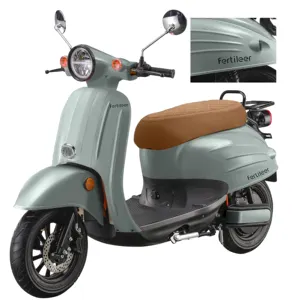 Groothandel 1000 Watt Elektronische Elektrische Bromfiets Met Pedaal 2 Seat Elektrische Bromfiets Scooter