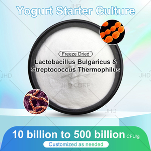 Fabriekslevering Yoghurt Starter Cultuur Probiotica Gevriesdroogd 10 Miljard Cfu/G Lactobacillus Bulgaricus Poeder - Product Image 2