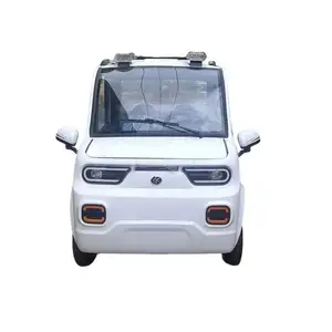 Brand New 60Km Electric Vrmepaket Car From China