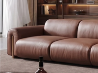 Canapé italien minimaliste importé en cuir pleine fleur de qualité supérieure, avec assise et accoudoirs en peluche épaisse, design ergonomique, pieds en noyer noir