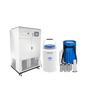 Easy Operate Liquid Nitrogen Machine China Continuous Operation 3L Liquid Nitrogen Cryogenic Equipment for Laboratory