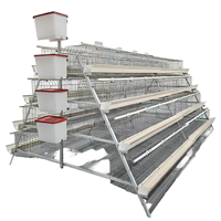 Cages à œufs de type A pour poulets pondeuses, cages de batterie pour élevage, poulaillers et fermes avicoles