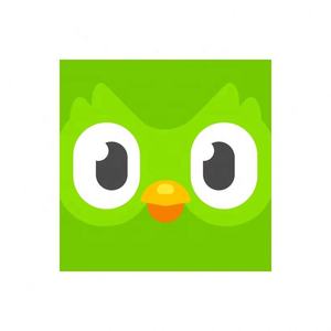 Cuenta Premium de Duolingo Pro, 1 Año de Activación Global para Linux y Mac, Disponible en Stock - Product Image 4