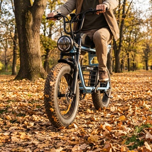 Vélo électrique rétro à pneus larges Autumn Trail avec suspension avant, idéal pour les balades en forêt en toute saison - Product Image 4