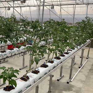 Serre agricole pour <span class=keywords><strong>tomates</strong></span> Gouttière en PVC blanc sans sol Système <span class=keywords><strong>de</strong></span> culture <span class=keywords><strong>de</strong></span> concombres - Product Image 1