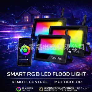 <b>Smart</b> Outdoor Led Flood Light 100W IP66 App Control Color Changing For Garden Tree <b>Lighting</b> - Product Image 2