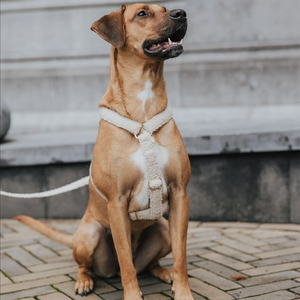 Arnés personalizado para perro Teddy Sherpa, dispensador de bolsas para caca, juego de Correa y Collar para perro resistente y cálido - Product Image 3