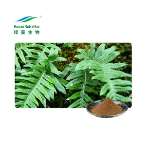 Số lượng lớn thành phần tự nhiên Bột 10:1 polypodium leucotomos chiết xuất cho mỹ phẩm & bổ sung - Product Image 1