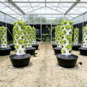 Torre Hidropónica de Una Sola Capa con 6/7 Orificios, Sistema de Cultivo Vertical Compacto sin Suelo para Interiores y Balcones - Product Image 5