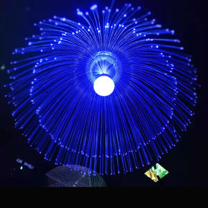 Luz de las medusas de la fibra óptica de 6W RGB con el control inalámbrico para la decoración al aire libre - Product Image 2