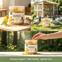 Complément Naturel OEM ODM 100g Granulés Multivitaminés Électrolytiques pour Petits Animaux Favorisant la Mémoire et l'Amélioration du Sommeil Durée de Conservation de 18 Mois