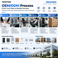 Fabricant de serrures intelligentes Tediton OEM ODM certifié CE FCC avec personnalisation du logo pour les marques de distributeurs