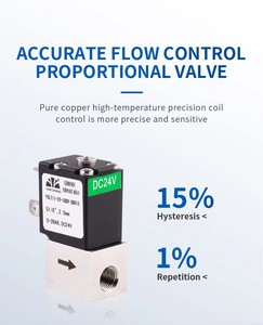 Yclt11 Độ chính xác cao khí tỷ lệ kiểm soát dòng chảy van điện từ 12VDC PWM - Product Image 5