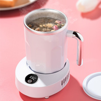 Bouteille d'eau de voyage à double usage, chauffante et rafraîchissante, avec affichage numérique de la température, alimentée à 12V, gobelet thermostaté