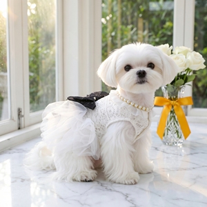 Robe pour animaux de compagnie toutes saisons en dentelle ajourée YF20260403-4, style princesse pour mariage, vêtements pour petits chiens et chats, vente en gros d'usine - Product Image 1