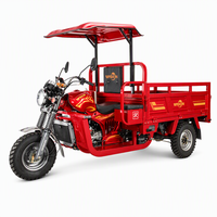 Tricycle de fret à essence 200CC refroidi par eau, capacité de charge 800KG, moto à trois roues pour commande en gros – Direct Usine