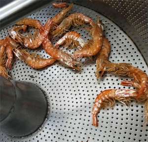 Mejor <span class=keywords><strong>precio</strong></span> Laboratorio de baja temperatura 3-5KG Banana Vegetal Crujiente <span class=keywords><strong>Pepino</strong></span> Patatas fritas Máquina para freír Vacío Freidora profunda Mini - Product Image 5