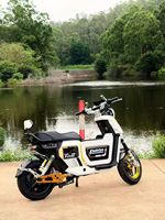 Bicicleta Eléctrica Urbana con Motor Trasero de 1500W, Velocidad Máxima de 60km/h, Frenos de Disco de 3 Velocidades, Cuadro de Acero al Carbono