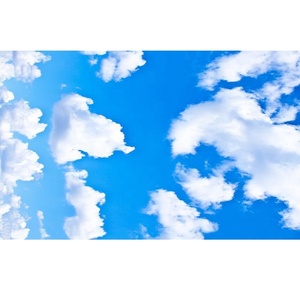 Carta da Parati 3D <span class=keywords><strong>con</strong></span> Cielo Blu e <span class=keywords><strong>Nuvole</strong></span> Bianche per Soffitto di Soggiorno e Camera da Letto, Murale Personalizzato per Soffitto - Product Image 6