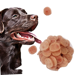 Precio barato 100g orgánico secado al aire aperitivos para mascotas comida seca pollo pato pescado Jerky perro trata al por mayor carne Real entrenamiento de mascotas - Product Image 3