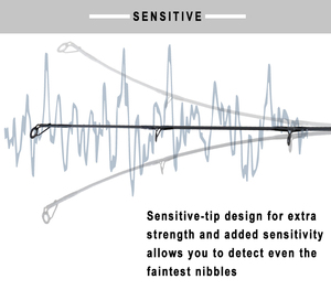 Cần câu cá biển, cần câu cá biển chuyên dụng, cần câu cá biển chuyên dụng chuyên dụng cho câu cá bằng cần câu tay - Product Image 2