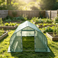 Serre tunnel moderne à toit en pente 10x30 pieds avec structure en acier galvanisé et couverture en PE, robuste pour plantes de jardin