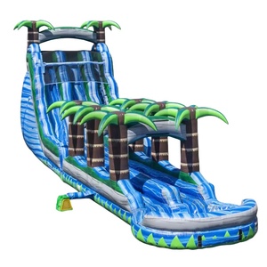 Trẻ Em Mới Đôi Làn Đường Trượt Bơm Hơi Nước Hoặc Khô Trượt Với Có Thể Tháo Rời Hồ Bơi Cho Đảng Kinh Doanh - Product Image 1