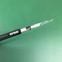Cable de Fibra Óptica GYTA53 G652D para Exteriores, con Tubo Suelto, Blindado con Cinta de Aluminio, 12/24/48 Hilos, Revestimiento de PE Negro, Garantía de 5 Años