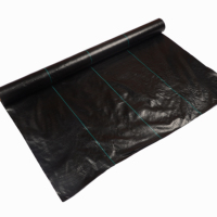Tissu résistant de barrière de mauvaises herbes de couverture de sol tissu d'aménagement paysager lutte contre les mauvaises herbes tissées agricoles