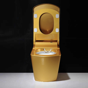S350 Golden Floor Smart Toilette De Luxe Électronique Auto-Nettoyage Buse Télécommande Nouvelle Arrivée Réservoir D'eau Toilettes - Product Image 6