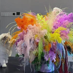 Herbe de la <span class=keywords><strong>Pampa</strong></span> en Soie Teinte, Fleurs Séchées en Usine, Herbe Alpina Chinoise, Herbe Barbe de Dragon, Décoration Murale Florale Personnalisée pour Mariage Bohème et Maison - Product Image 6