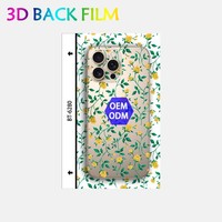 Autocollants de protection arrière pour téléphone OEM 190*120MM multicolores, film protecteur d'écran en céramique, fourniture d'usine, accessoires pour atelier de réparation mobile