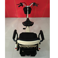 Elektrisches Dreirad 2 Passagiere elektrisches Dreirad für Frauen E-Dreirad E Dreirad