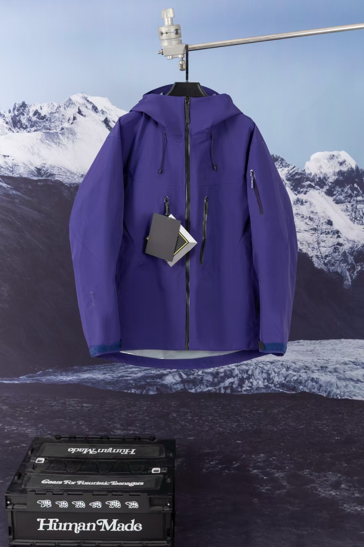Pourpre
