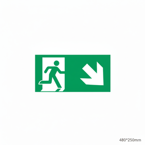 Uscita di emergenza verso il basso segno freccia destra-480 in alluminio luminescente * 250mm - Product Image 2